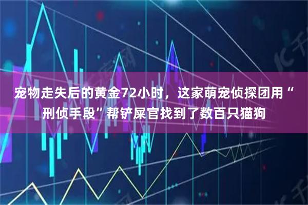 宠物走失后的黄金72小时，这家萌宠侦探团用“刑侦手段”帮铲屎官找到了数百只猫狗