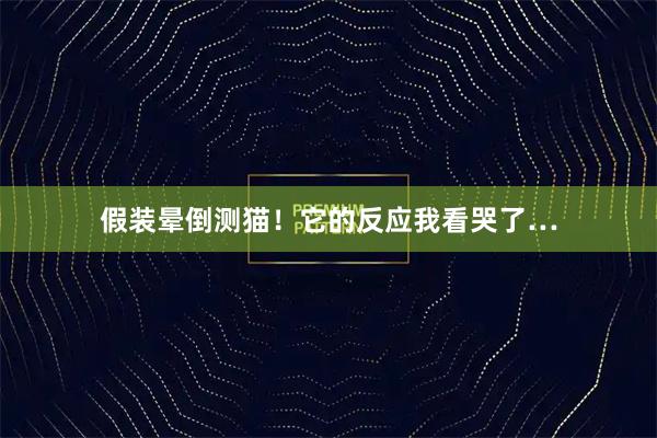 假装晕倒测猫！它的反应我看哭了…