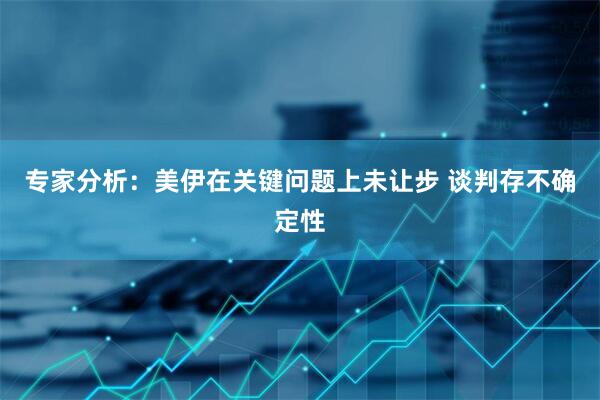 专家分析：美伊在关键问题上未让步 谈判存不确定性
