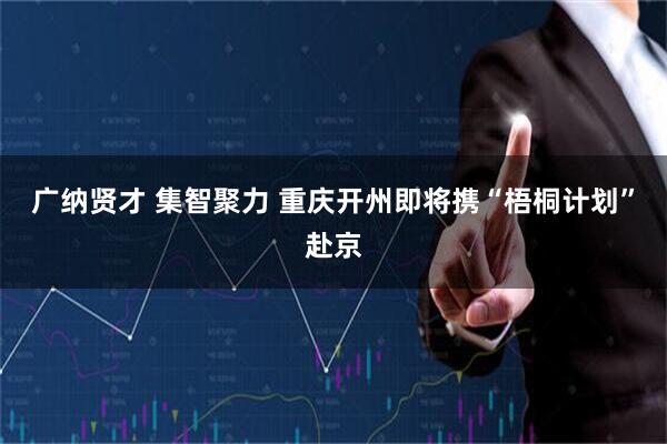 广纳贤才 集智聚力 重庆开州即将携“梧桐计划”赴京