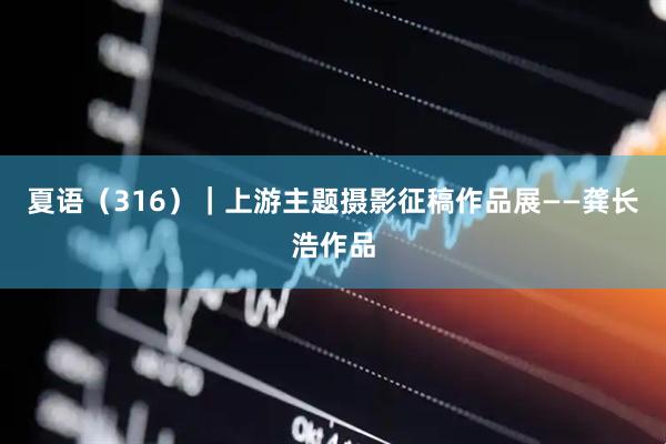夏语（316）｜上游主题摄影征稿作品展——龚长浩作品
