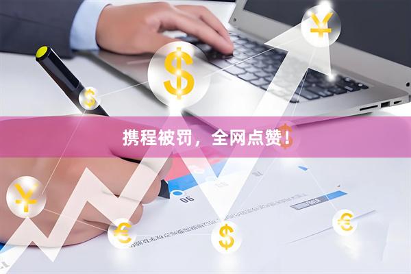 携程被罚，全网点赞！